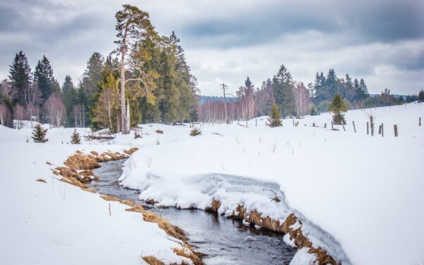 Šumava přímo u Boubínského pralesa a v blízkosti ski areálů v Penzionu Pod pralesem s polopenzí