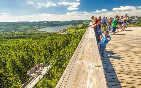 Pobyt nedaleko Boubínského pralesa na Šumavě v Hotelu Salivar *** s úschovnou kol a polopenzí