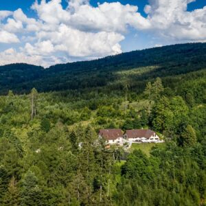 Luxus a klid na Valašsku: Penzion Na kraji lesa **** s moderním wellness a lahví sektu + prvotřídní polopenze