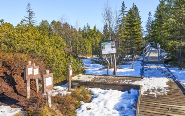 Krušné hory jen 300 m od ski areálu v Hotelu Boží Dar - Excalibur *** se vstupem do muzea a polopenzí