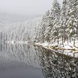 Národní park Šumava blízko ski areálu v Penzionu U Mauritzů s farmou se zvířátky + chutná domácí polopenze