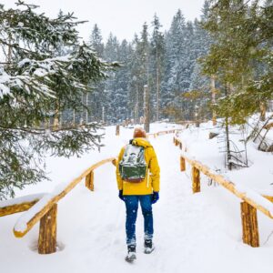 Polské Tatry poblíž termálních lázní ve Wille Grand Karpatia: stylové pokoje, polopenze, bazén a dítě zdarma