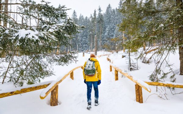 Polské Tatry poblíž termálních lázní ve Wille Grand Karpatia: stylové pokoje, polopenze, bazén a dítě zdarma