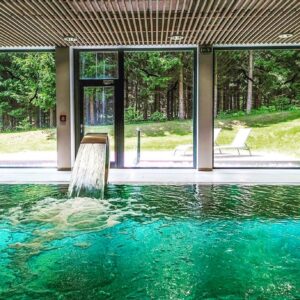 Vysočina u CHKO Žďárské vrchy v Hotelu SKI *** se vstupem do wellness (bazén, vířivka), polopenzí a slevami