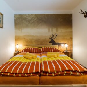 Český Krumlov nedaleko historického centra v moderním Penzionu Top se snídaněmi a využitím zahrady s grilem