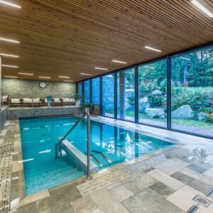 Jeseníky u ski areálů v Hotelu Villa Regenhart **** se snídaní/polopenzí a neomezeným bazénem + saunový svět