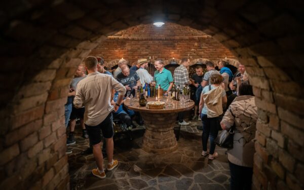 Slovácko: Hotel Bukovanský Mlýn *** se snídaní/polopenzí, neomezenou konzumací 3 druhů vín a degustací