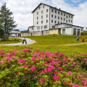 Rakouské Alpy: Léto v Hotelu Berghof Tauplitzalm *** s polopenzí, saunami, výletním vláčkem a vyžitím