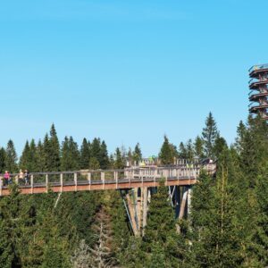 Belianské Tatry u Chodníku korunami stromů v Penzionu Šilon s polopenzí + slevy do wellness a aquaparků