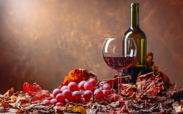 Jižní Morava blízko památek: Dovolená ve Valticích v Penzionu Rendezvous se snídaní/polopenzí + welcome drink