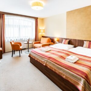 Vysočina u Telče a Jindřichova Hradce: Hotel Artaban **** se snídaní/polopenzí, vířivkou, bowlingem + solárium