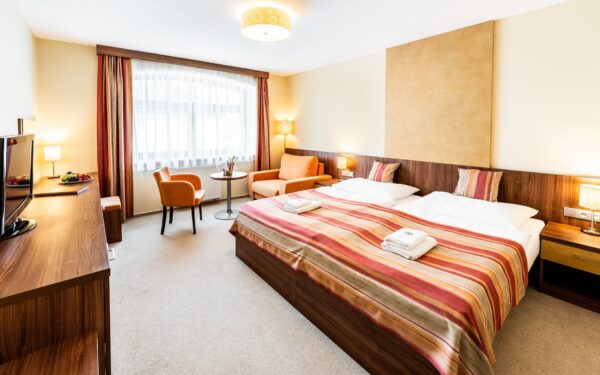 Vysočina u Telče a Jindřichova Hradce: Hotel Artaban **** se snídaní/polopenzí, vířivkou, bowlingem + solárium