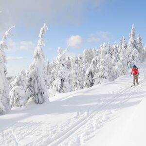 Orlické hory: Dovolená na úpatí Velké Deštné blízko ski areálů v Hotelu Orlice *** se snídaní nebo polopenzí