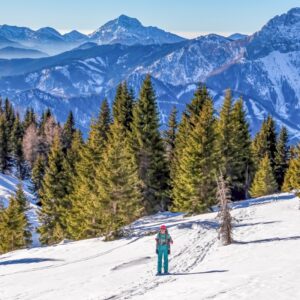 Korutany u památek a horských jezer: Panoramadorf Saualpe *** s polopenzí, wellness, bazénem a slevovou kartou