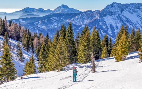 Korutany u památek a horských jezer: Panoramadorf Saualpe *** s polopenzí, wellness, bazénem a slevovou kartou