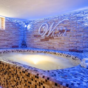 Bratislava u Devínského hradu: W Hotel *** se snídaní a privátním vstupem do wellness (bazén, sauna, vířivka)