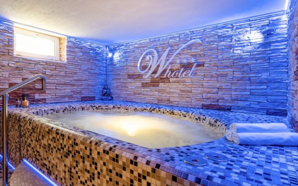 Bratislava u Devínského hradu: W Hotel *** se snídaní a privátním vstupem do wellness (bazén, sauna, vířivka)