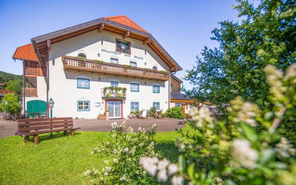 Rakousko jen 8 km od Salzburgu: Pobyt v Hotelu Gasthof Am Riedl *** s polopenzí a bohatým vyžitím pro děti