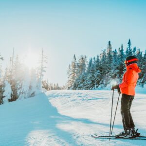 Jižní Čechy nedaleko Českého Krumlova a ski areálu v Penzionu Hájenka hraběte Buquoye se snídaňovým košíkem