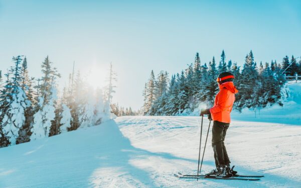 Jižní Čechy nedaleko Českého Krumlova a ski areálu v Penzionu Hájenka hraběte Buquoye se snídaňovým košíkem
