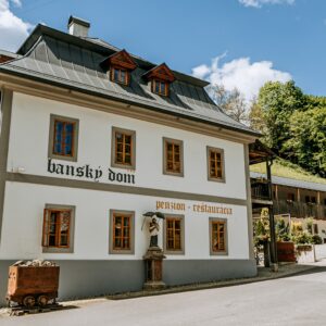 Banská Štiavnica: Dovolená v Penzionu Banský Dom *** s polopenzí a vstupem do wellness (vířivka, 2 sauny)