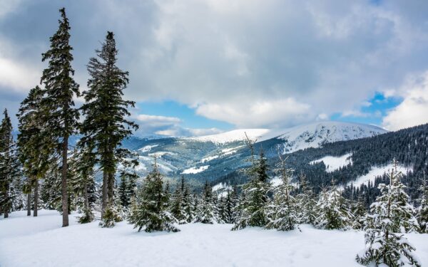 Pobyt v Krkonošském NP u ski areálu: Dolní Dvůr v Hotelu Krakonoš se snídaní nebo polopenzí a úschovnou lyží
