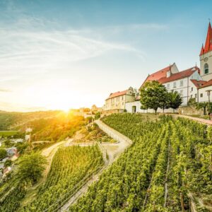 Znojmo u Národního parku Podyjí v Penzionu Blanka s polopenzí, lahví vína a balíčkem slev + venkovní bazén