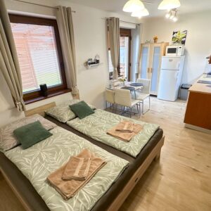Nesvady jen 750 m od termálů: Apartmán Losonci se slevou na vstup do lázní + zapůjčení kol a bohaté vyžití