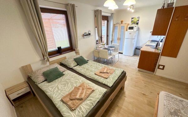 Nesvady jen 750 m od termálů: Apartmán Losonci se slevou na vstup do lázní + zapůjčení kol a bohaté vyžití
