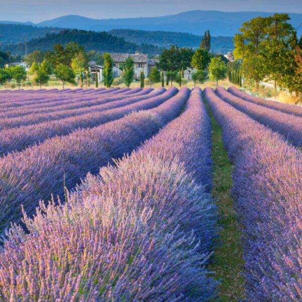 Kouzelná Provence