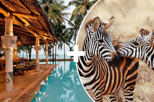 2 Dny Safari Tsavo East + Neptune Village