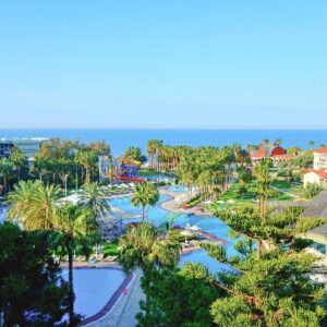 Arum Barut Collection