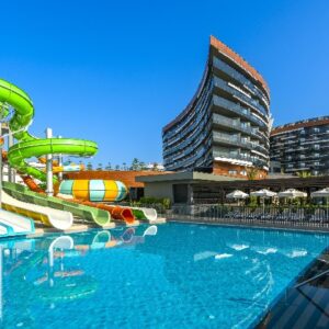 Calyptus Kirman Premium